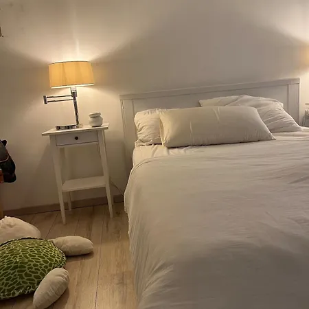 Apartment Cozy Flat